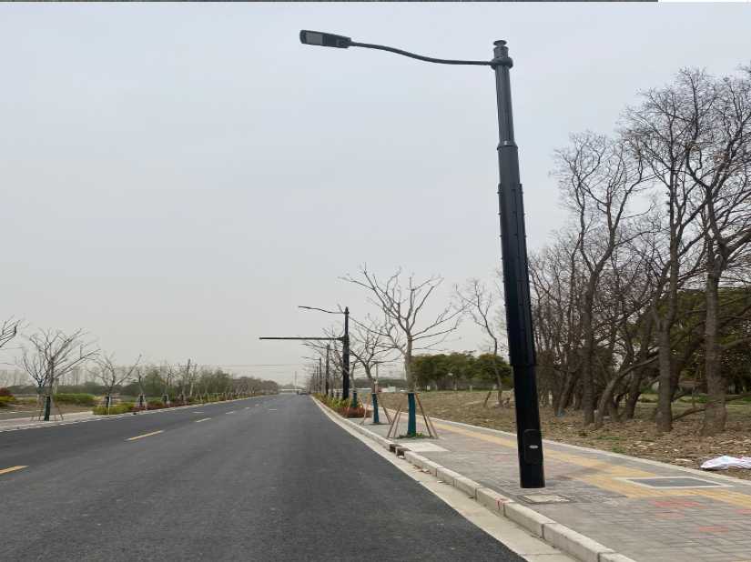 武义县上海综合杆 太阳能路灯工程